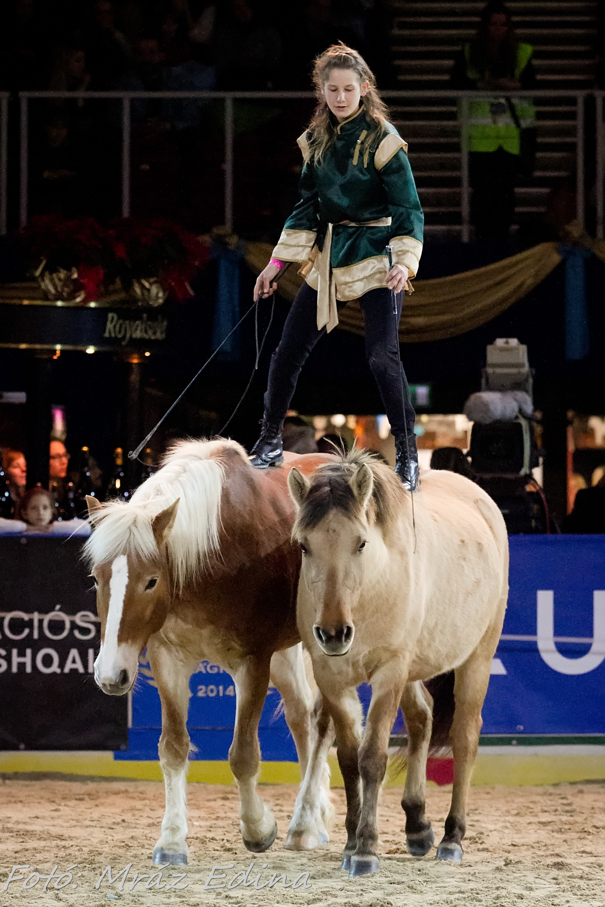 Mráz Edina képei